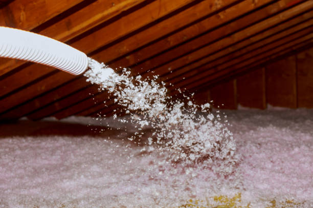 Best Geographic-Specific Insulation Services in Stratford Downtown, CT